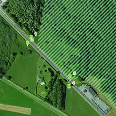 image-pack-faune-cd74