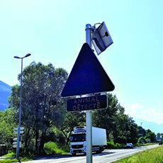 image-pack-faune-cd74